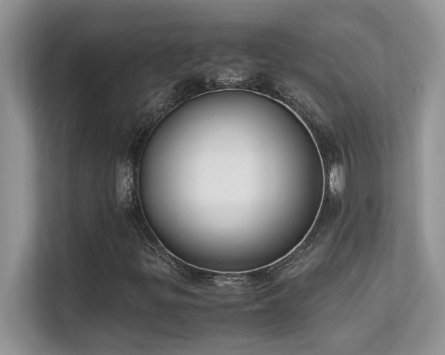 X0000112171299200908071150