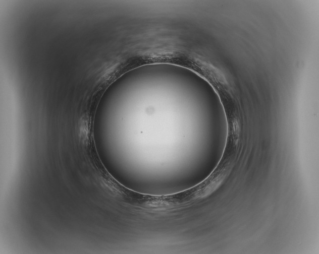 X0000112171300200908071150