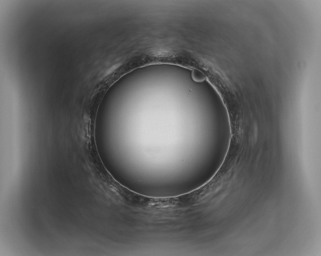 X0000112171301200908071150