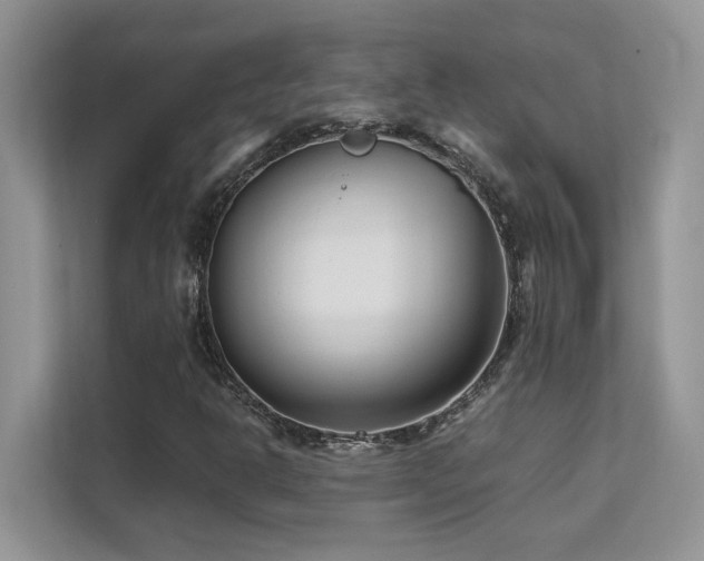 X0000112171302200908071150