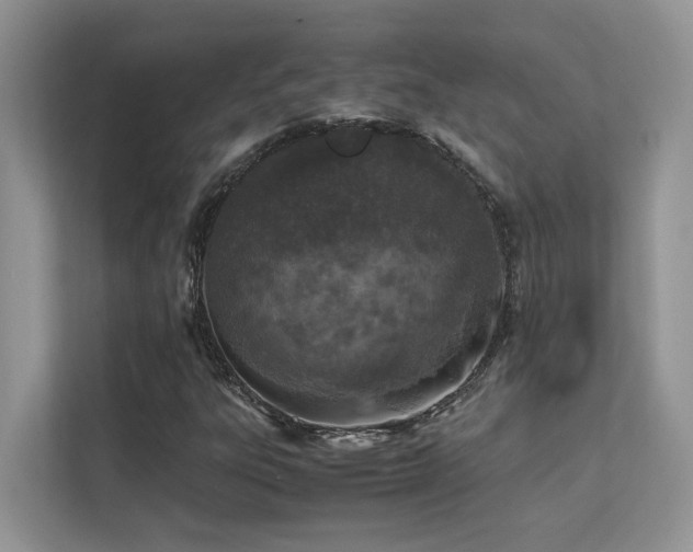 X0000112171303200908071150