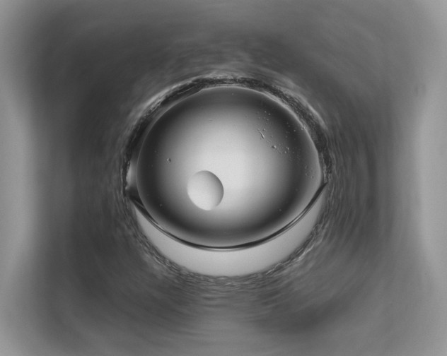 X0000112171304200908071150