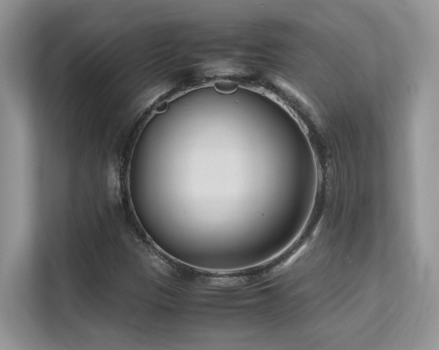 X0000112171305200908071150