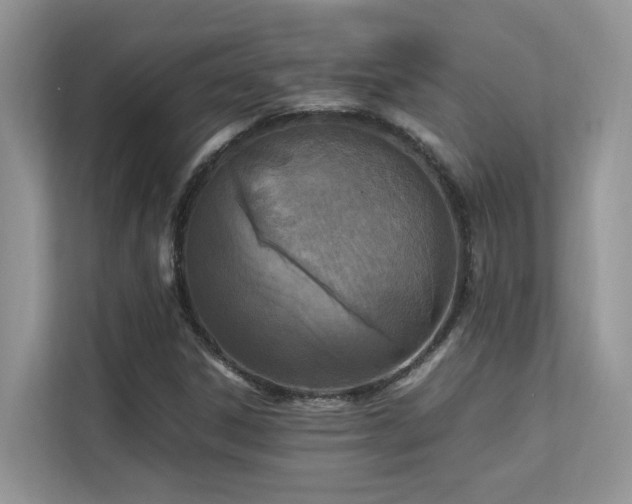 X0000112171306200908071150