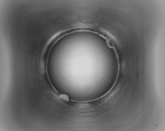 X0000112171310200908071150