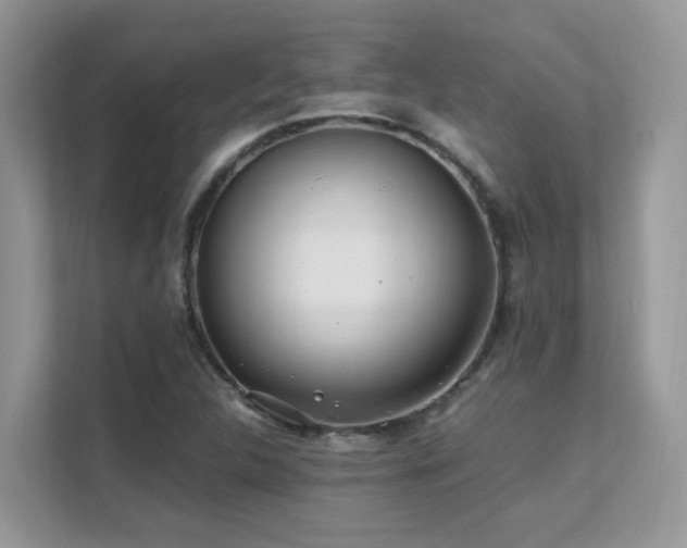 X0000112171312200908071150