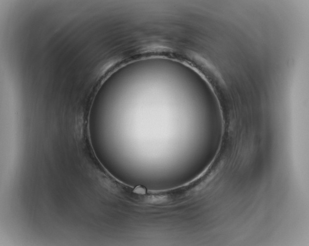 X0000112171313200908071150