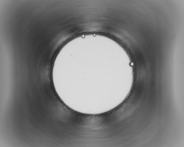 X0000112171314200908071150