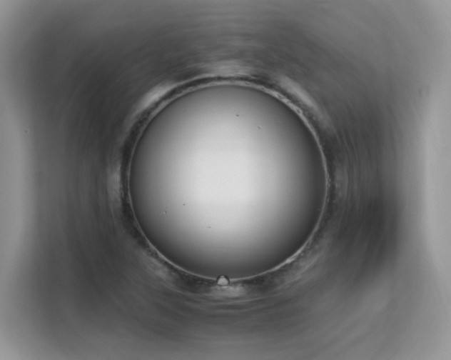 X0000112171315200908071150