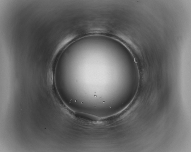 X0000112171317200908071150