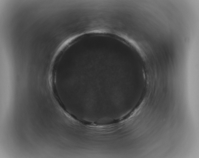 X0000112171319200908071150