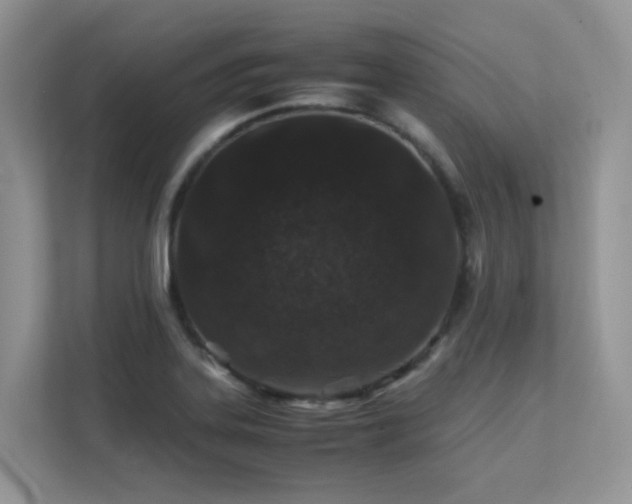 X0000112171323200908071150