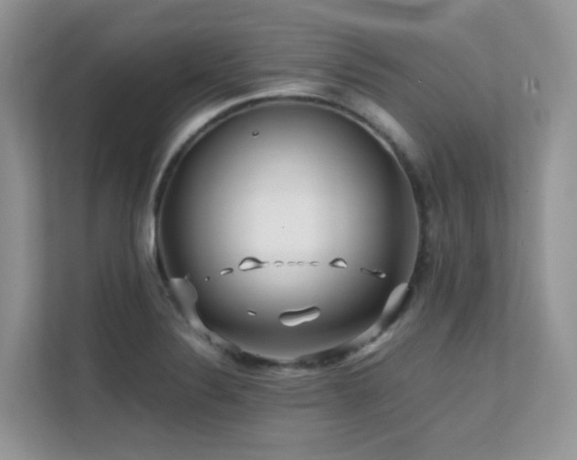 X0000112171324200908071150