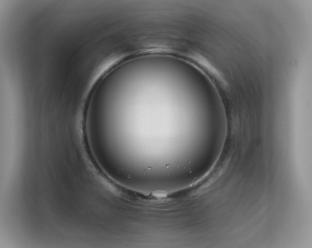 X0000112171325200908071150