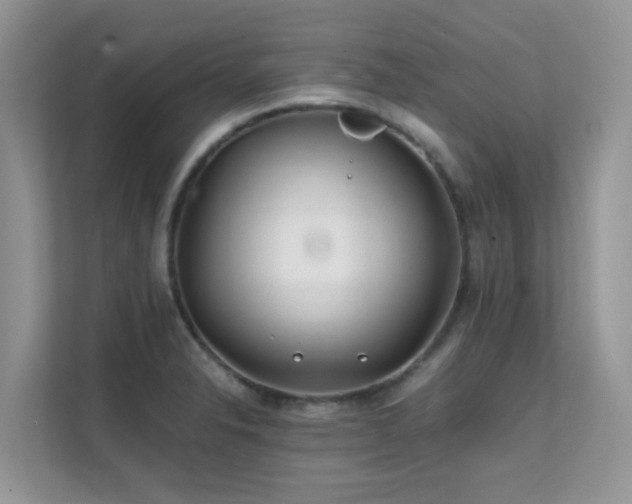 X0000112171326200908071150