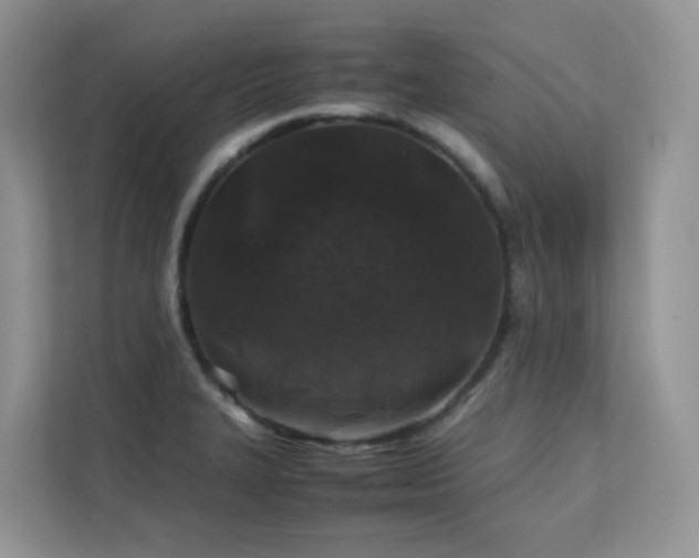 X0000112171327200908071150