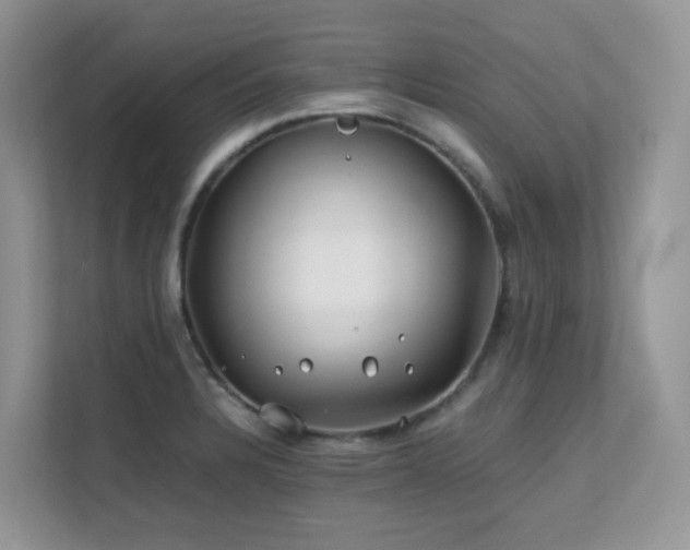 X0000112171328200908071150