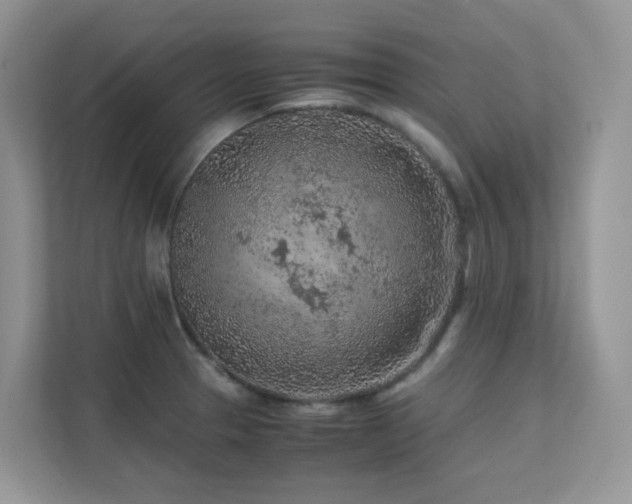 X0000112171329200908071150