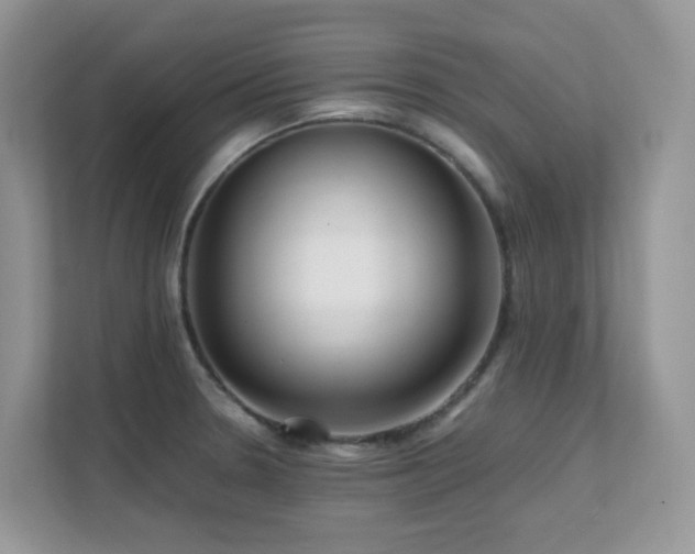 X0000112171330200908071150