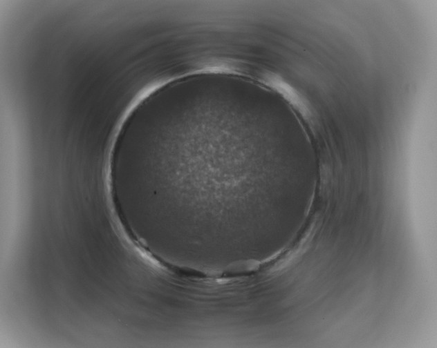 X0000112171331200908071150