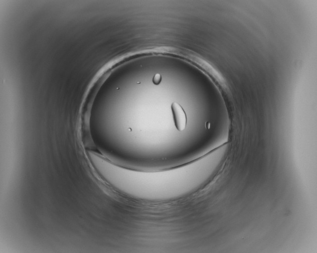 X0000112171332200908071150