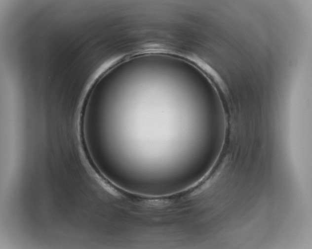 X0000112171333200908071150