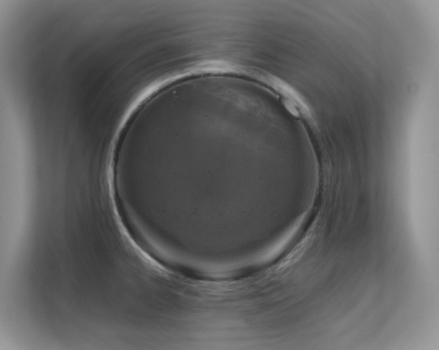 X0000112171334200908071150