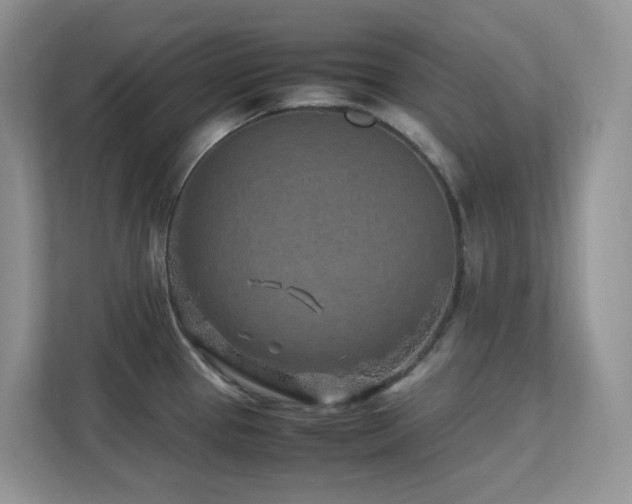 X0000112171337200908071150