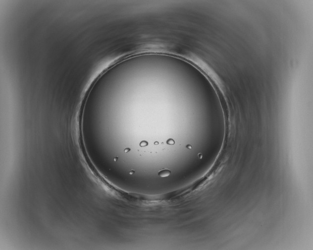 X0000112171341200908071150