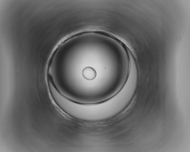 X0000112171342200908071150