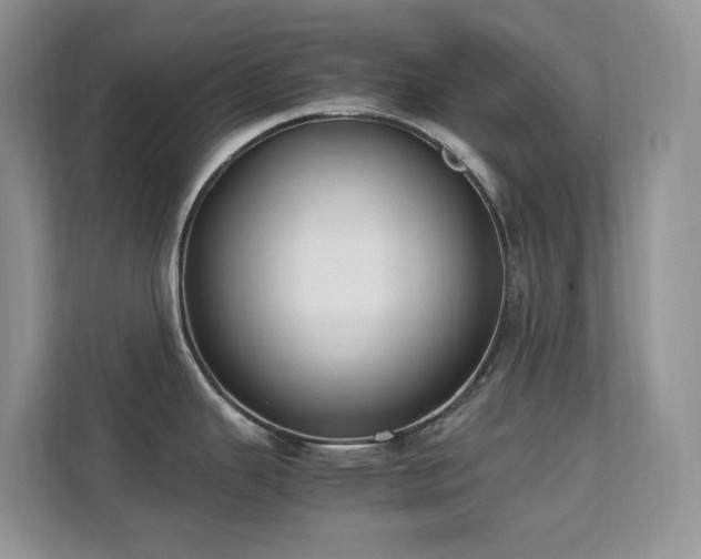 X0000112171343200908071150