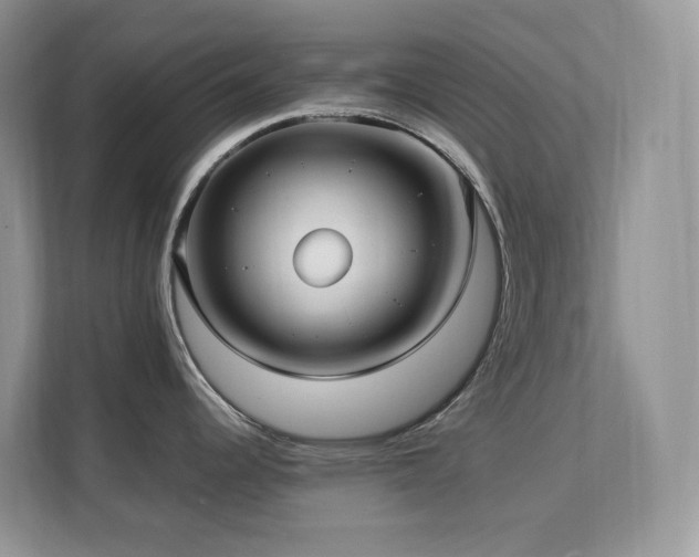 X0000112171344200908071150