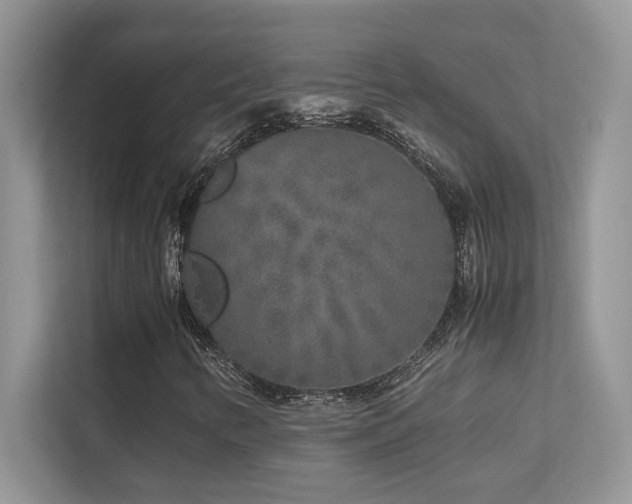 X0000112171346200908071150