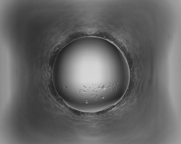 X0000112171349200908071150