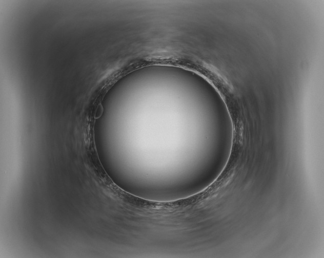 X0000112171350200908071150