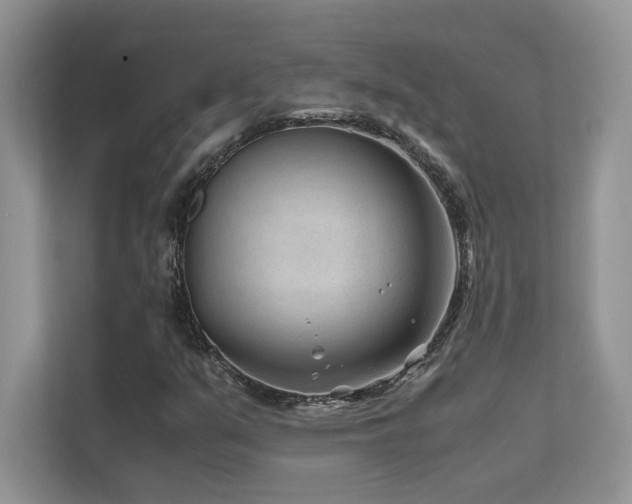 X0000112171351200908071150