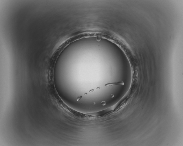 X0000112171352200908071150