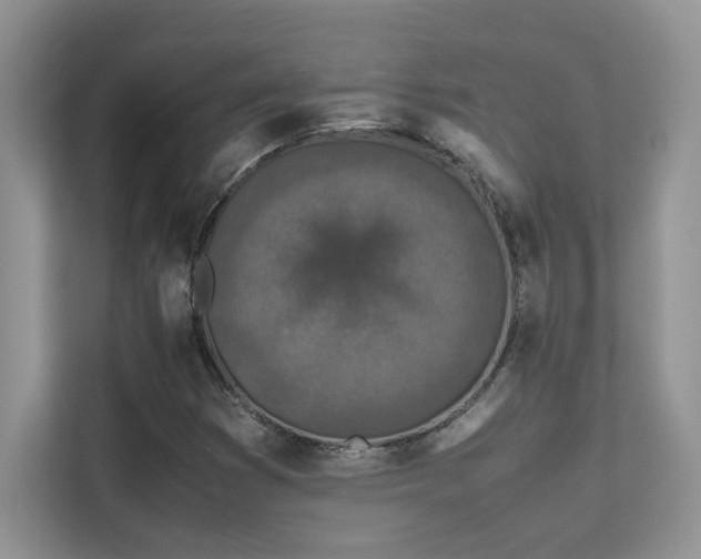 X0000112171353200908071150