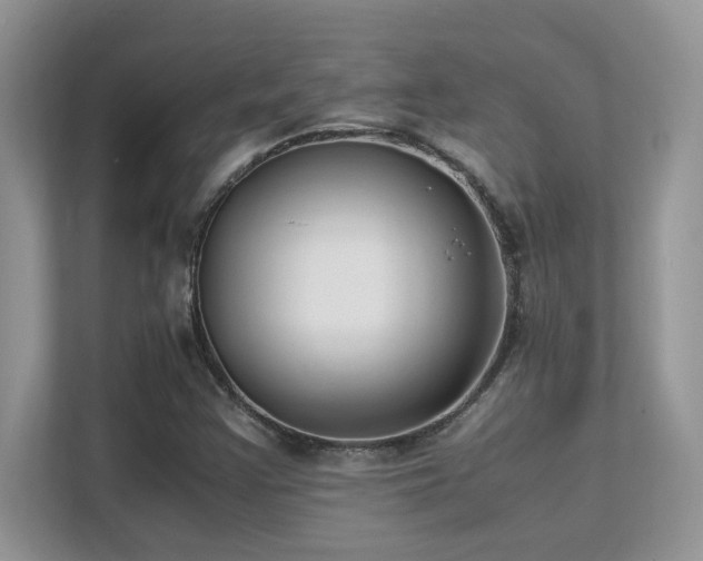 X0000112171355200908071150