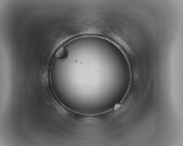 X0000112171356200908071150