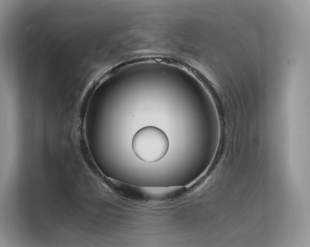 X0000112171357200908071150