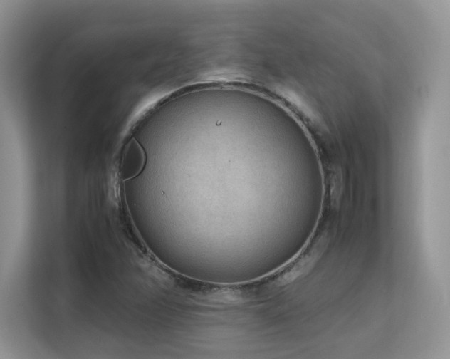 X0000112171358200908071150