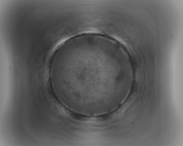 X0000112171359200908071150