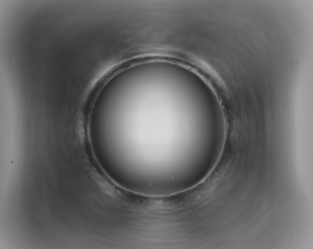 X0000112171360200908071150