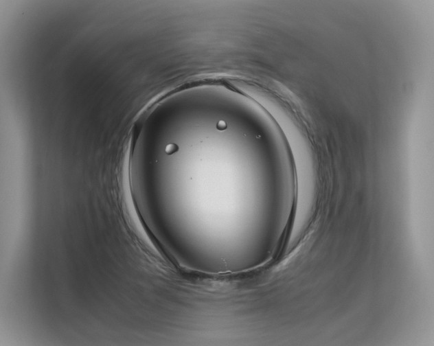 X0000112171361200908071150