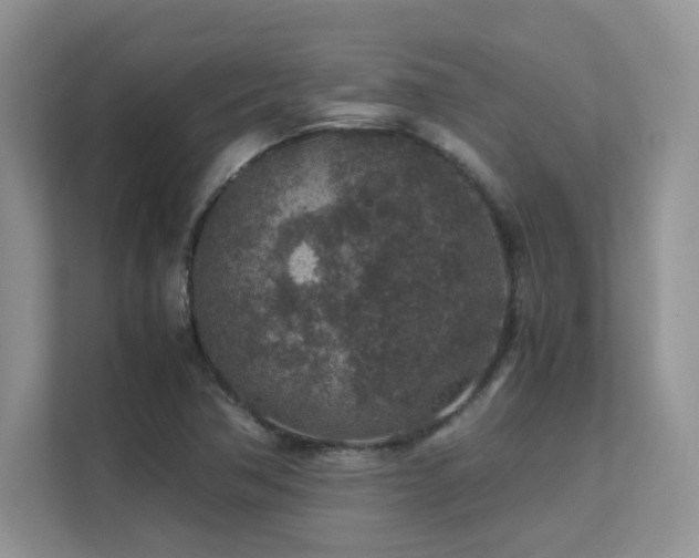 X0000112171362200908071150