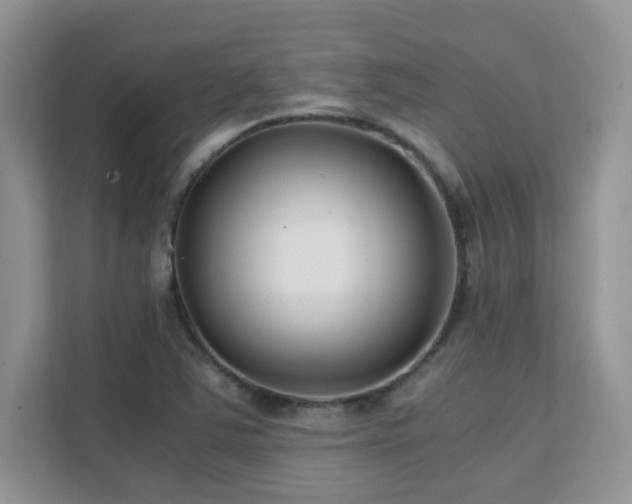 X0000112171363200908071150