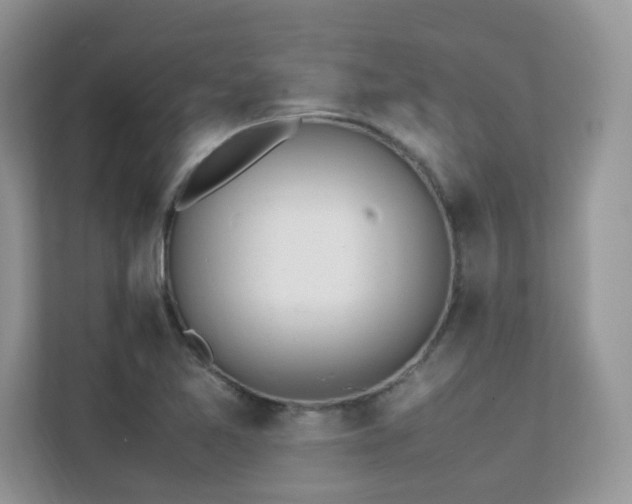 X0000112171365200908071150