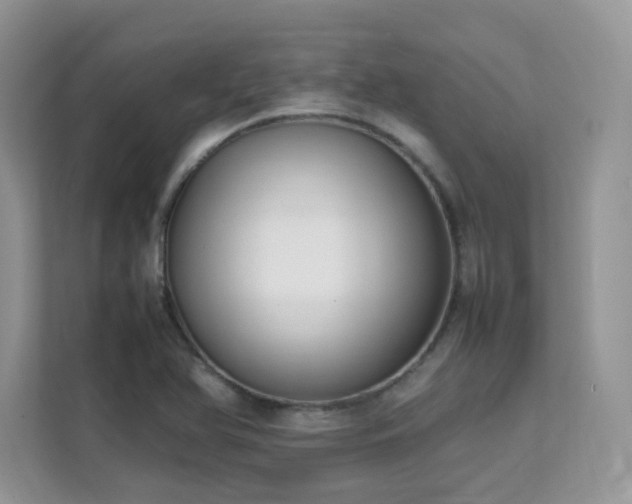 X0000112171366200908071150