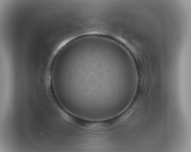 X0000112171367200908071150